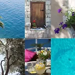 Luce فيلة