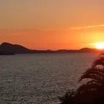 فيلة Luce دوبروفينك